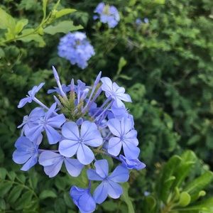 Meet your Posher, Mikayla